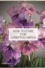 Image for How to Care for Streptocarpus : Plant Guide