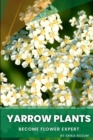 Image for Yarrow Plants : Become flower expert