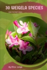 Image for 30 Weigela species : Make the right choice