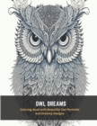Image for Owl Dreams