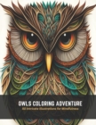 Image for Owls Coloring Adventure