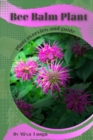 Image for Bee Balm Plant : Plant overview and guide
