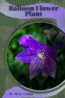 Image for Balloon Flower Plant : Plant overview and guide