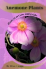 Image for Anemone Plants : Plant overview and guide