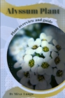 Image for Alyssum Plant : Plant overview and guide