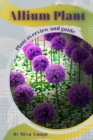 Image for Allium Plant : Plant overview and guide