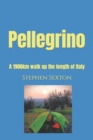 Image for Pellegrino : A 1900km walk up the length of Italy