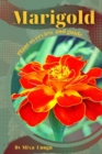 Image for Marigold : Plant overview and guide