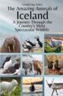Image for The Amazing Animals of Iceland