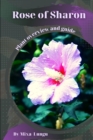 Image for Rose of Sharon : Plant overview and guide