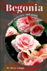 Image for Begonia : Plant overview and guide