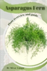 Image for Asparagus Fern : Plant overview and guide