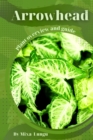 Image for Arrowhead : Plant overview and guide