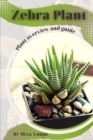 Image for Zebra Plant : Plant overview and guide