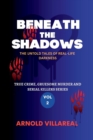 Image for Beneath The Shadows