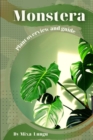 Image for Monstera : Plant overview and guide