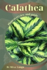 Image for Calathea : Plant overview and guide
