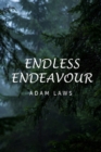 Image for Endless Endeavour