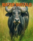 Image for Water Buffalo