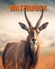 Image for Waterbuck