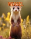 Image for Weasel