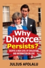 Image for Why Divorce Persists? : Despite A High Level of Civilization and Information on Love