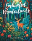 Image for Secrets of the Enchanted Wonderlands