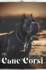 Image for Cane Corsi : Dog breed overview and guide