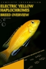 Image for Electric Yellow Haplochromis : From Novice to Expert. Comprehensive Aquarium Fish Guide