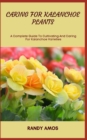 Image for Caring for Kalanchoe Plants : A Complete Guide To Cultivating And Caring For Kalanchoe Varieties