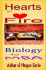 Image for Hearts on Fire : Biology to MBA: A Novel