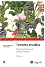 Image for Trauma Practice