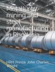 Image for Metallurgy, mining and steel manufacturing in Rhodesia