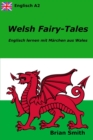Image for Welsh Fairy-Tales