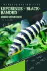 Image for Leporinus - Black-banded : From Novice to Expert. Comprehensive Aquarium Fish Guide