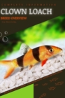 Image for Clown Loach