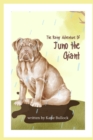 Image for The Rainy Adventure of Juno the Giant