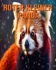 Image for Roter kleiner Panda