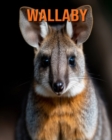 Image for Wallaby