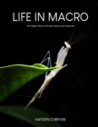 Image for Life in Macro : The Hidden World of Small Insects and Creatures
