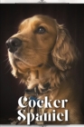 Image for Cocker Spaniel : Dog breed overview and guide