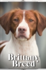 Image for Brittany Breed : Dog breed overview and guide