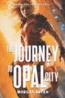 Image for The Journey to Opal City