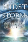 Image for In the Midst of the Storm : Stillness