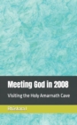 Image for Meeting God in 2008