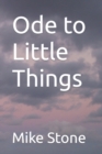 Image for Ode to Little Things