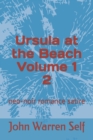 Image for Ursula at the Beach Volume 1 2 : neo-noir romance satire