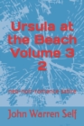 Image for Ursula at the Beach Volume 3 2 : neo-noir-romance satire