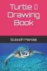 Image for Turtle