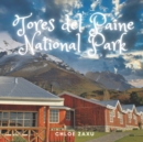 Image for Tores del Paine National Park : A Beautiful Print Landscape Art Picture Country Travel Photography Coffee Table Book of Chile